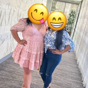 Pink American Eagle Dress